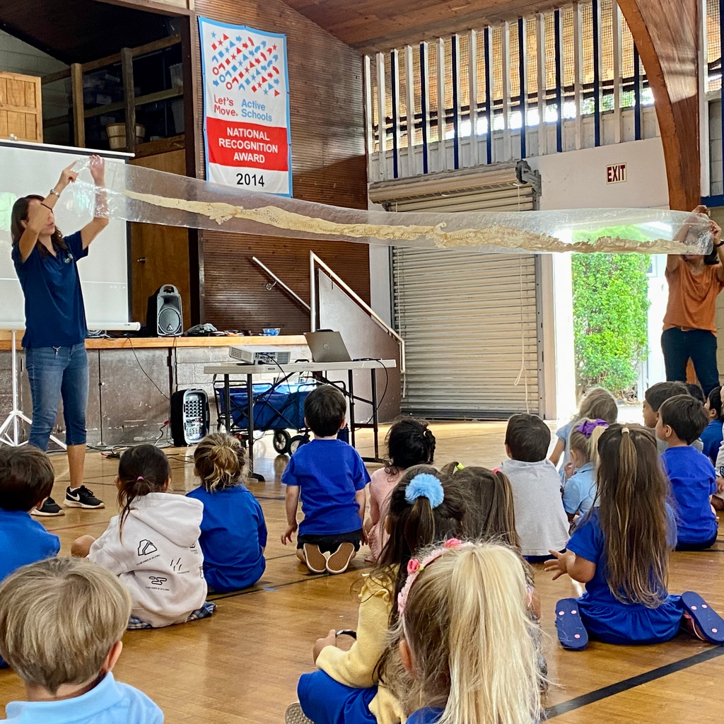 HolyNativity's tweet photo. 🐾Fur real, this morning's zoo-to-you presentations were clawsome! The kids went wild for all the animal knowledge. Thanks to our community partners at The Honolulu Zoo Society for bringing this program to HNS.
#ZooToYou #HonoluluZoo #HNS #HolyNativitySchool https://t.co/bp2UMrxTXG