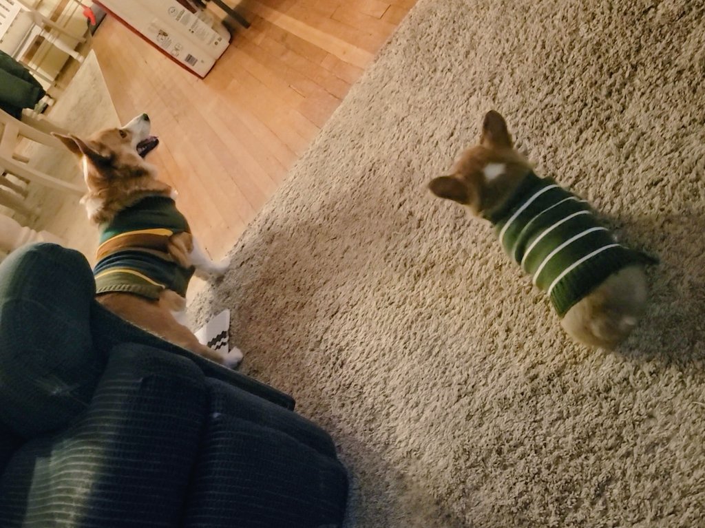 0xFynlee's tweet photo. Well, I got me a little brother! This is Bodi Jay and Ma says he'll be my best friend! https://t.co/Cd3J0FgYd3