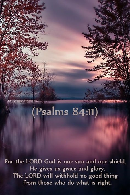 ALVINGerard9's tweet photo. Psalm 84:11   For the Lord God is a sun and shield: the Lord will give grace and glory: no good thing will he withhold from them that walk uprightly. https://t.co/8CkrRur3Gy