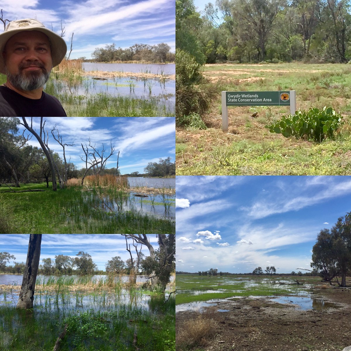 Celebrating #WorldWetlandsDay2023, Kamilaroi traditional knowledge and connections, supermarkets on-Country. @UC_CAWS Gwydir Wetlands