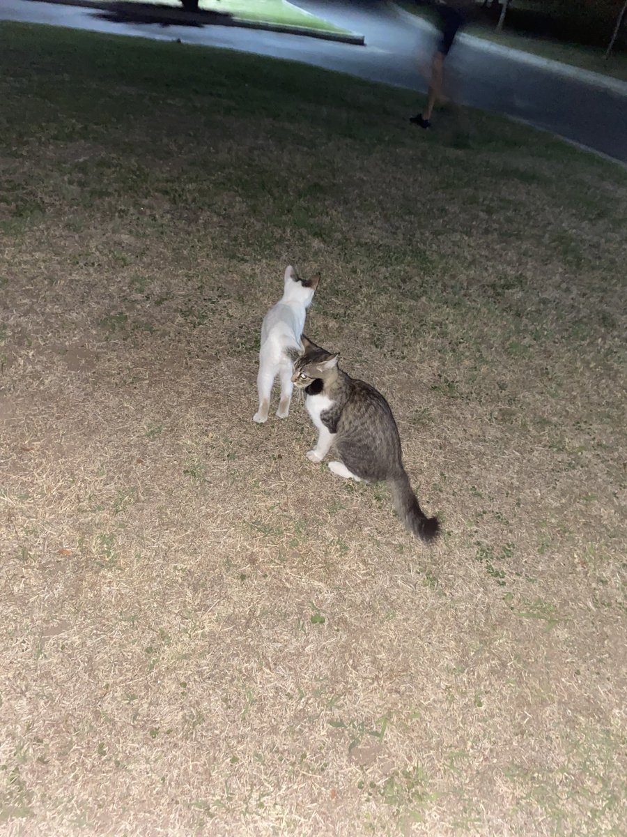 el mejor 2pa2 <a href="/valen_letti/">valenletti</a>