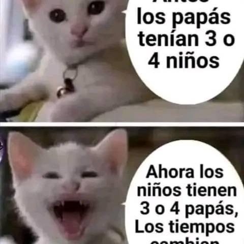 FerrermLuis's tweet photo. https://t.co/A7zVnLBlaG