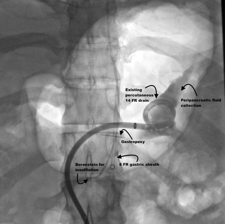 Steven Morales-Rivera, MD tweet media