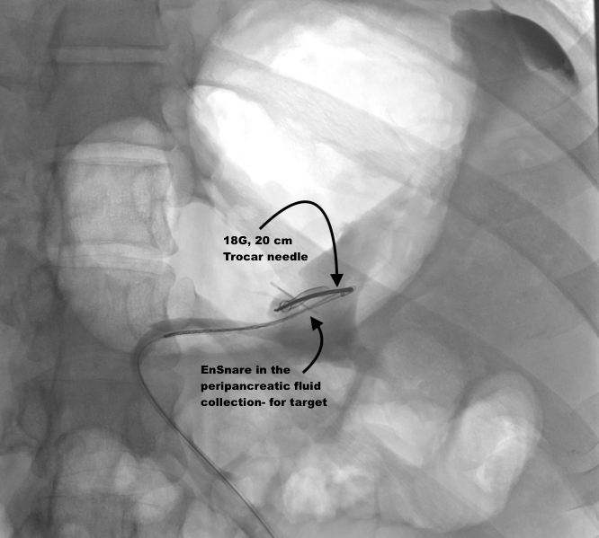 Steven Morales-Rivera, MD tweet media