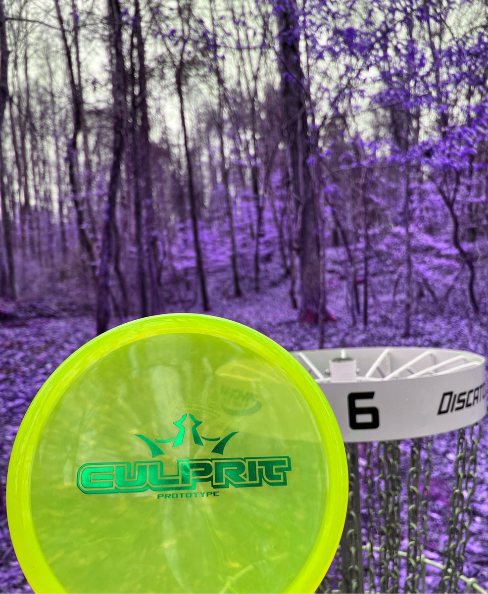 zachmelton87's tweet photo. Snagged an ace today with my @DynamicDiscs Culprit. Been trying out a few molds this offseason. Revisiting the Culprit. Also trying out the Warden, Agent, Claymore, Gatekeeper, & Musket.
Have you guys been trying out anything new??? #playdiscgolf #discgolftwitter https://t.co/zq5GG1qJAg