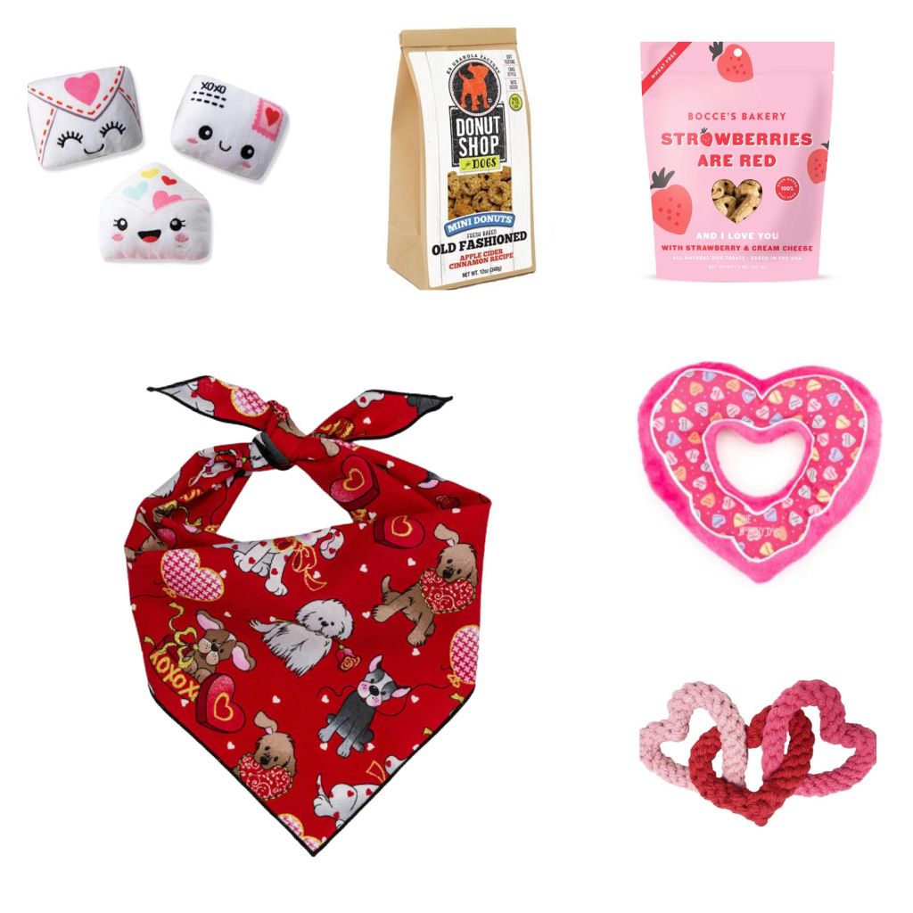 💘VALENTINE'S DAY GIVEAWAY!  5 $100.00 PetSmart Gift cards, 3 fantastic Barc Boxes and a beautiful Box we got from <a href="/Bark_Beyond/">Bark & Beyond®️🇺🇸</a>!  Post a pic of your pet, follow <a href="/Gus_FTW/">Gus Gus</a> <a href="/Barclay_FTW/">Barclay 🖖🏻</a> <a href="/Boxster240/">🐾💙Christine💙🐾</a>.  Random draw.  One entry per account. Giveaway ends 2/4 at 11:59PM.  Good luck!!!💘