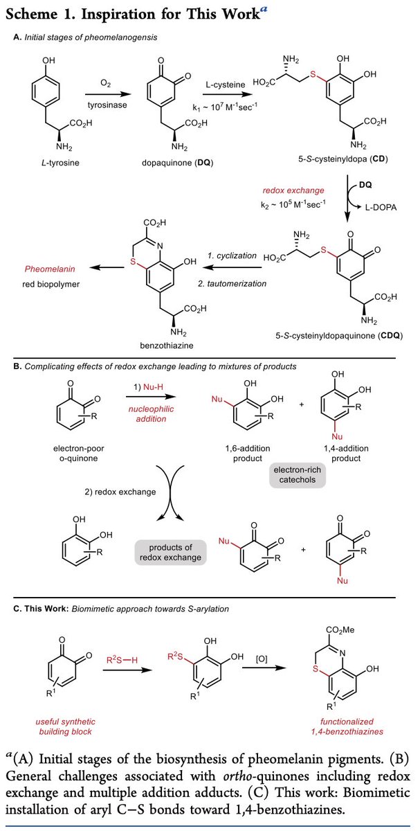 Total Synthesis tweet media