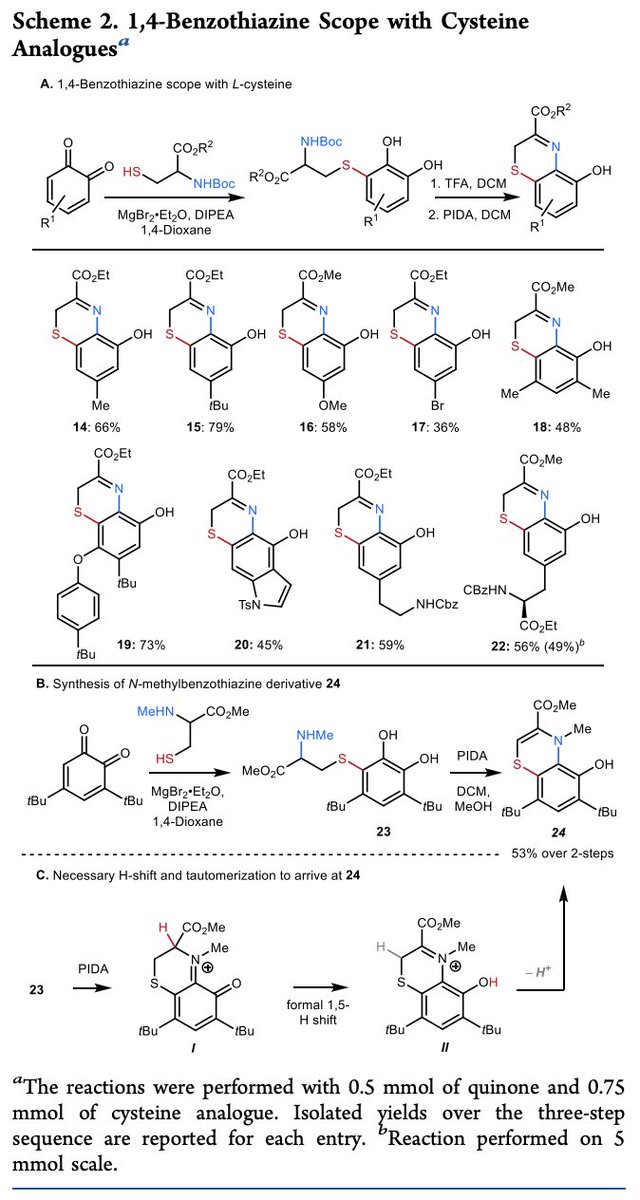 Total Synthesis tweet media
