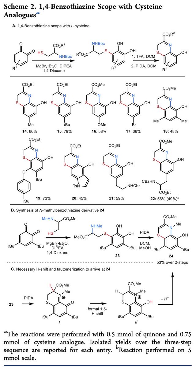 A #BioinspiredSynthesis of 1,4-Benzothiazines by Selective Addition of Sulfur Nucleophiles to ortho-Quinones by Matthew Halloran, Elizabeth Li, Kenneth Virgel Esguerra, and Jean-Philip Lumb @LumbLab @LumbGroup at @McGillChemistry in @JOC_OL pubs.acs.org/doi/10.1021/ac…