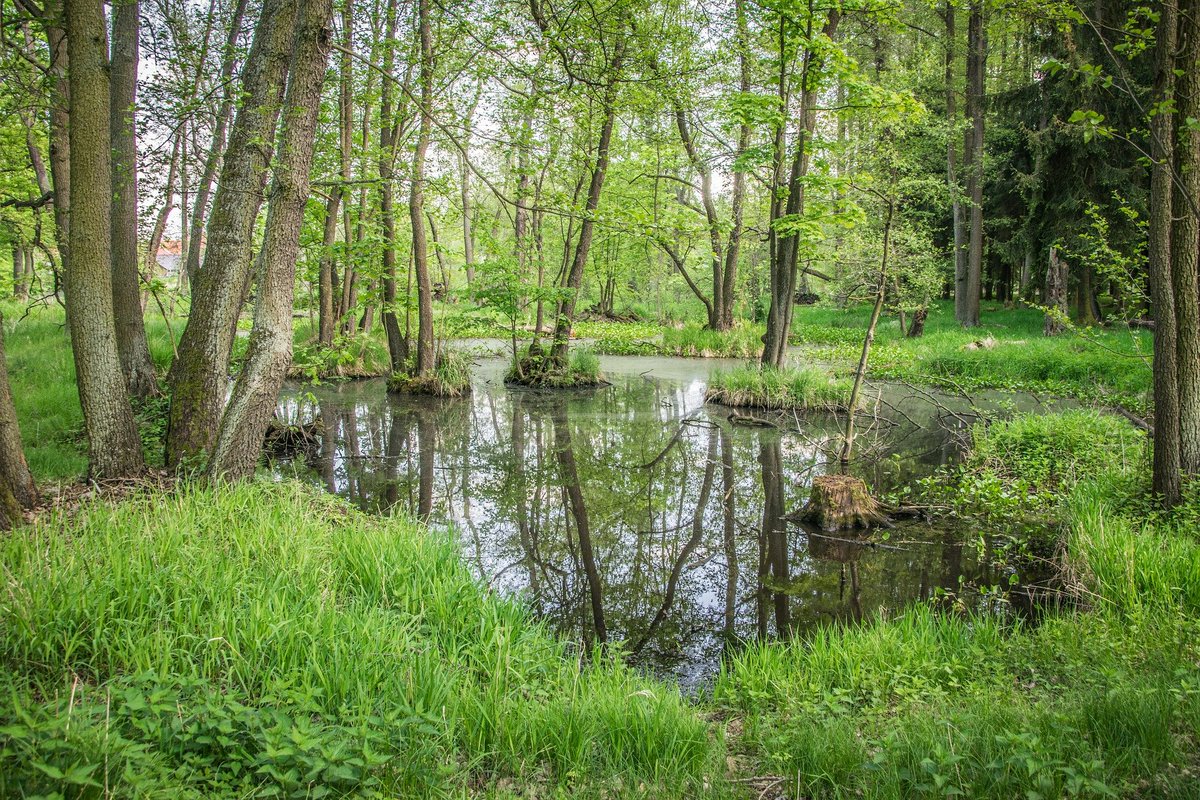 Global Water Forum tweet media