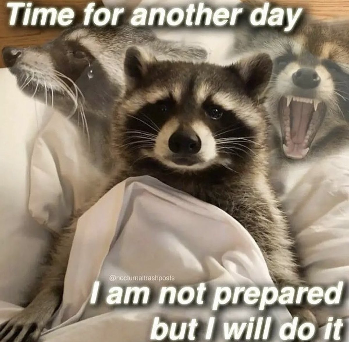 _rhymenocerous's tweet photo. waking up in FL again https://t.co/klxjSYUKcx