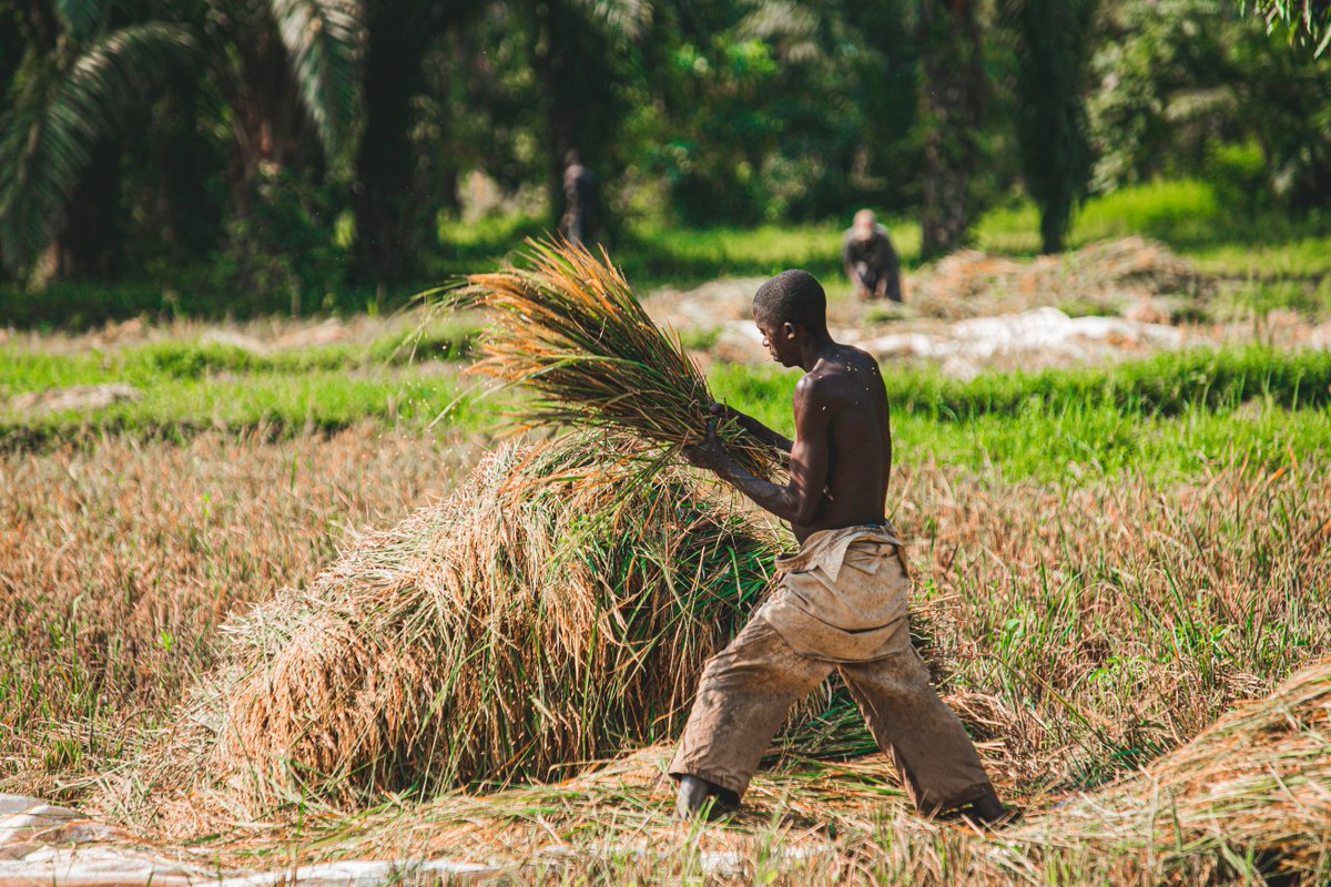 dannylukein's tweet photo. "Jesus saw the crowds, was moved with compassion, and said to his disciples, "The harvest is plentiful but the workers are few. Pray to the Lord of the harvest to send out workers into his harvest field." #Compassion #Jesus #Harvest https://t.co/eWcdLuM4fx