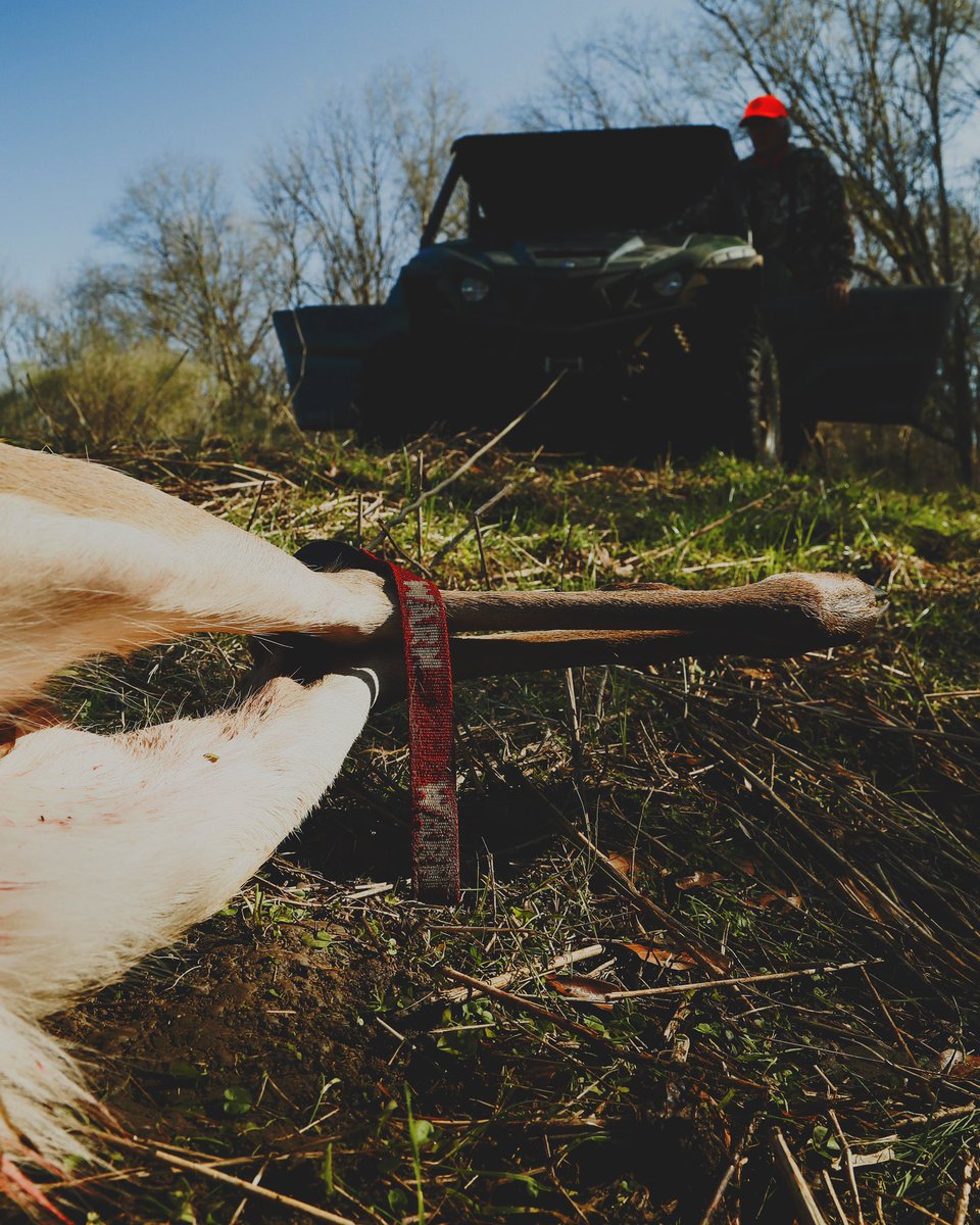 BmNation's tweet photo. #WARNwednesday πͺπ΄
.
.
.
#Buckmasters #outdoors #hunting #deerhunting #whitetaildeer #Yamaha #BTR #OTR #RACK https://t.co/3tcMDsYNxy