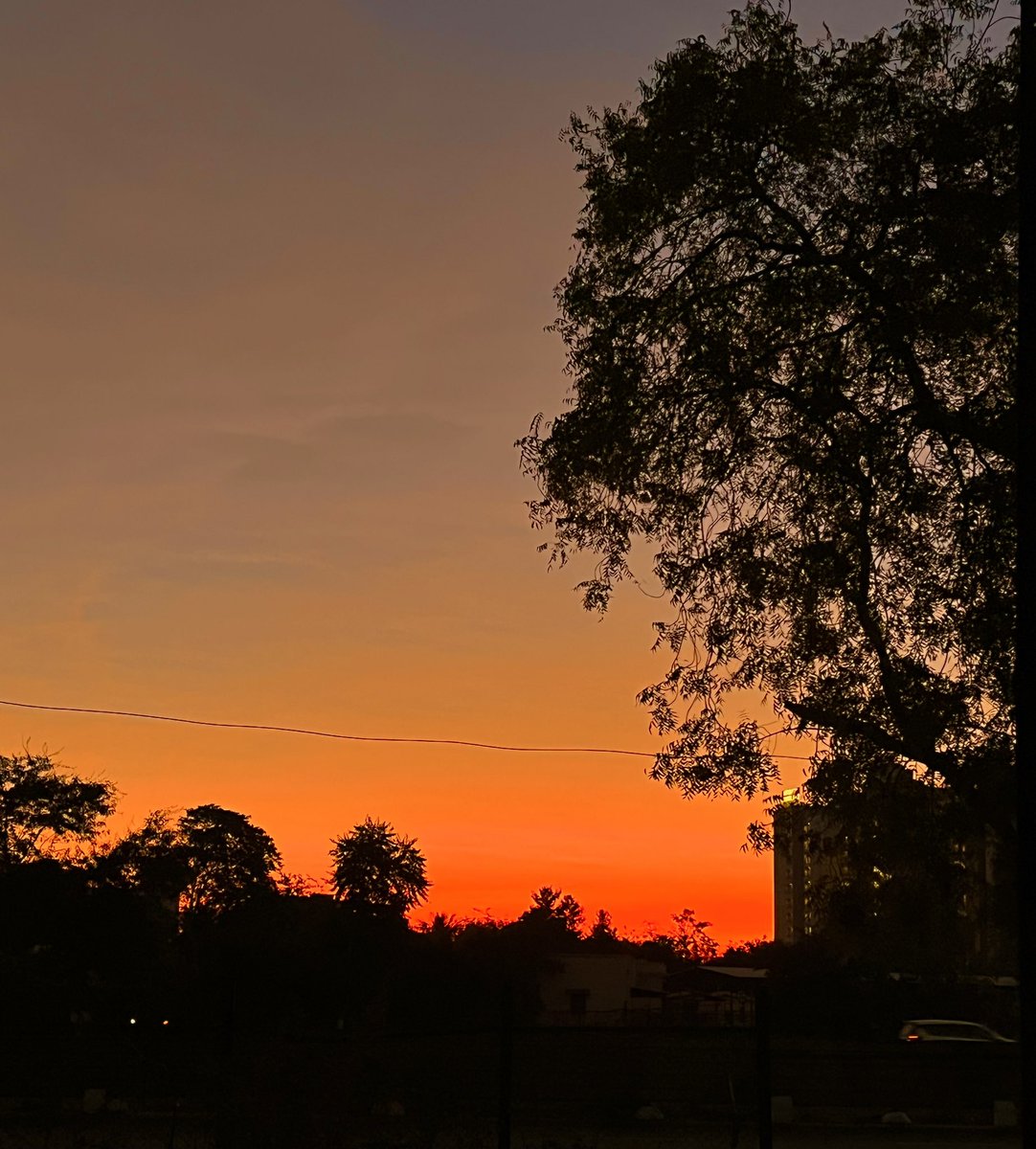 choprasumer's tweet photo. joy of mornings ❤️ https://t.co/BB6ONUaW4N