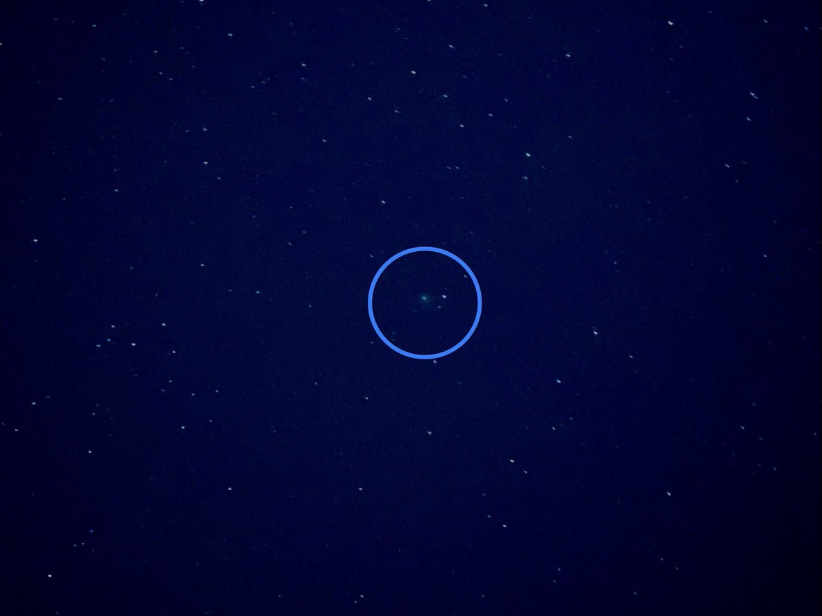 Aaron Reichman tweet media