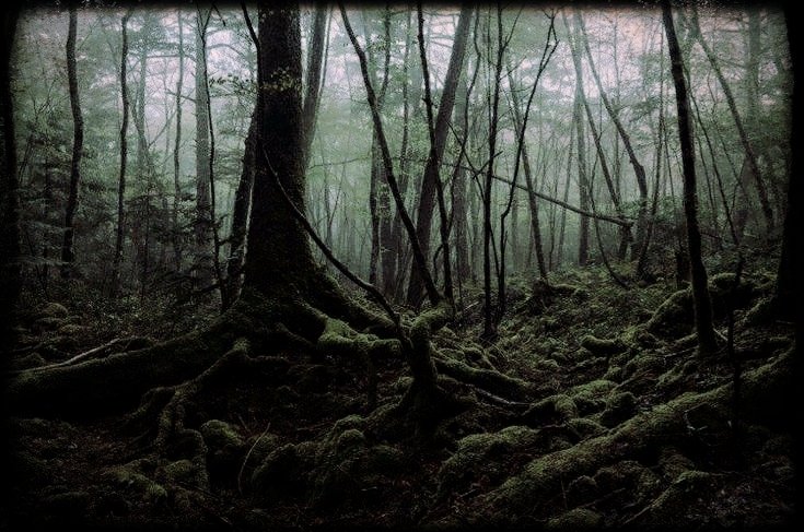 JazzHammerAlex's tweet image. [Corpse Furnace LP3 Blog(A Thread)]