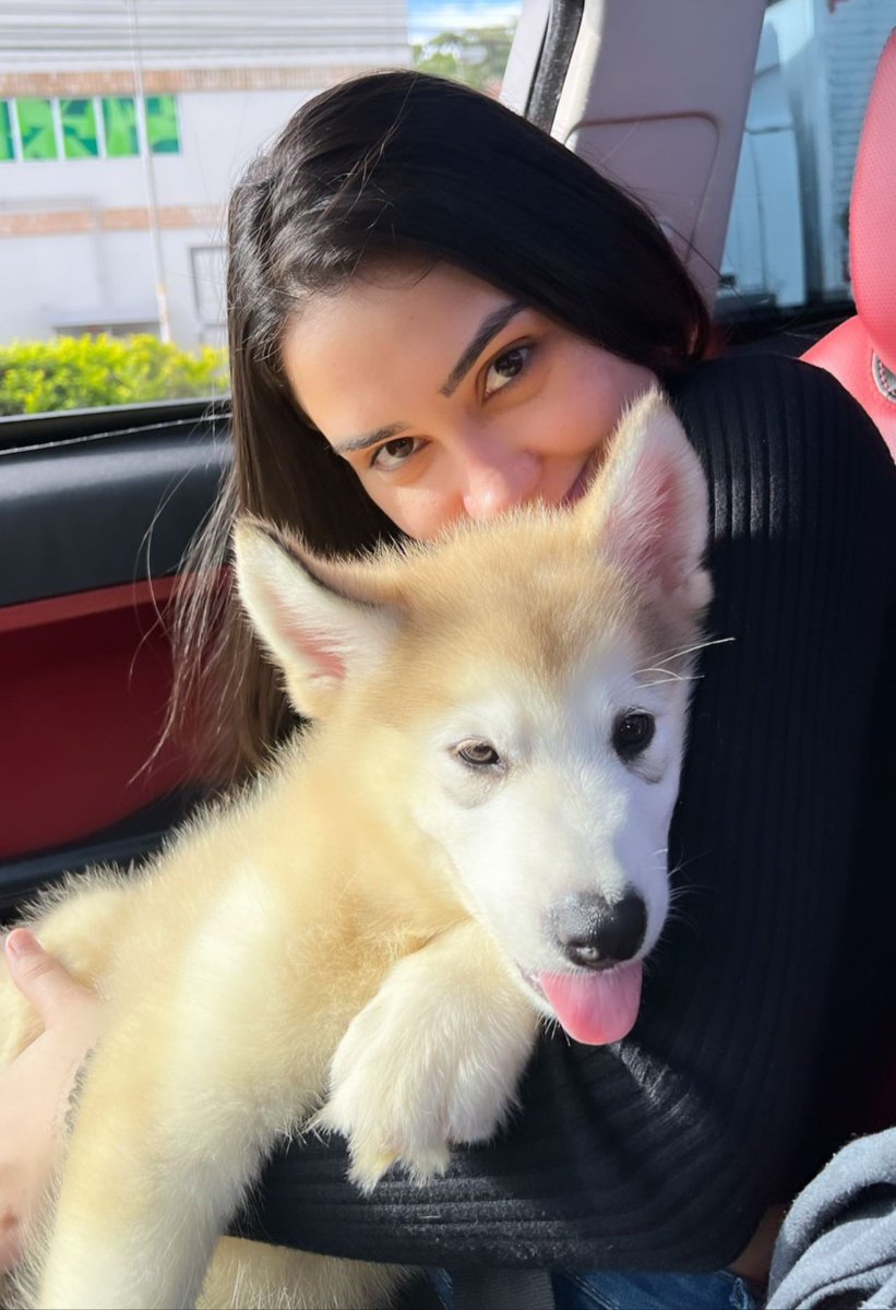 picstainac's tweet photo. 🥰🤍 https://t.co/uJvXhNFgjD