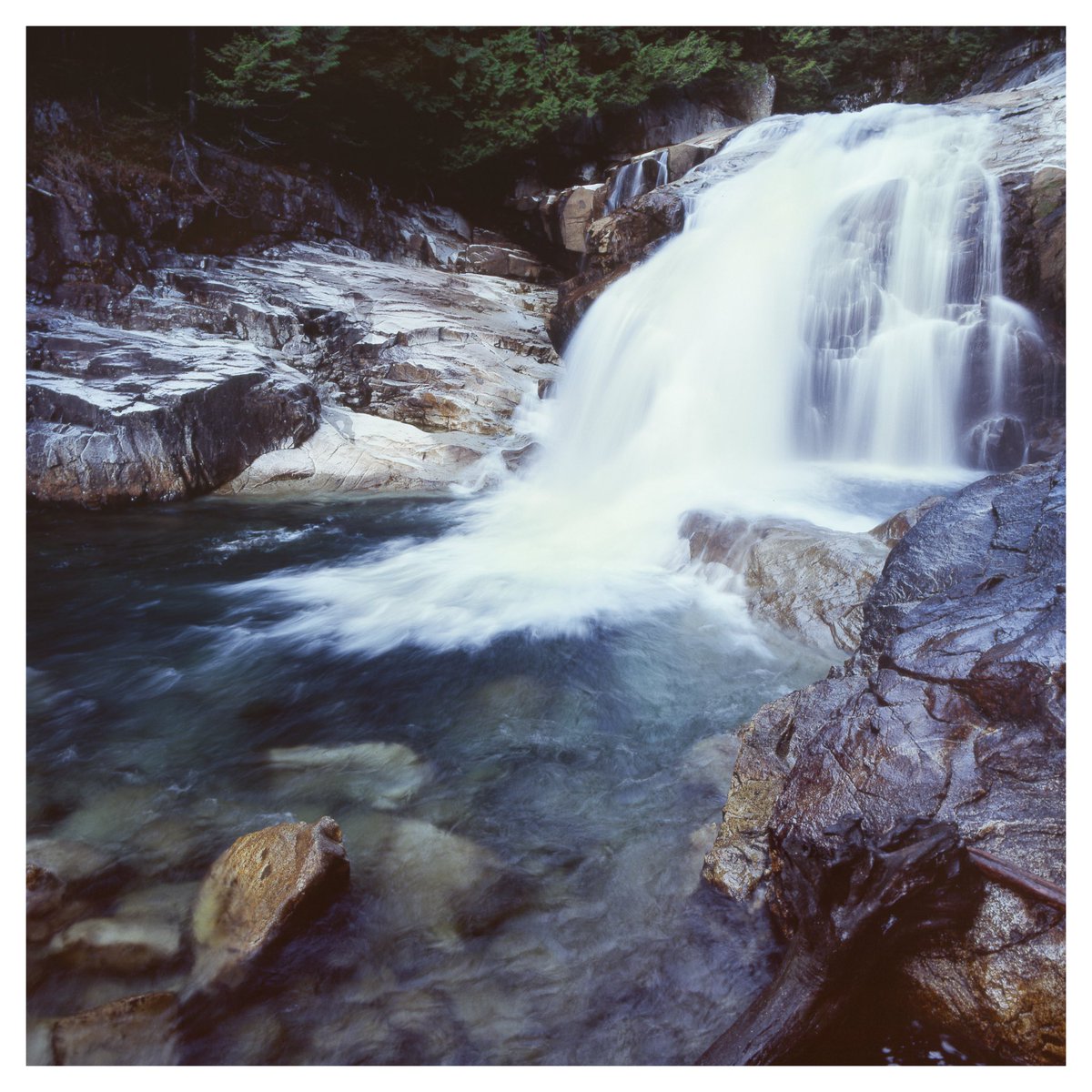 zojofoto's tweet photo. Hemlocks, rocks and Emerald falls! Shot on velvia 100 film and the trusty 6x6 Hassy! 

Beautiful British Columbia, Canada 
#FilmTwitter #filmisnotdead https://t.co/eTV5KLyN8G