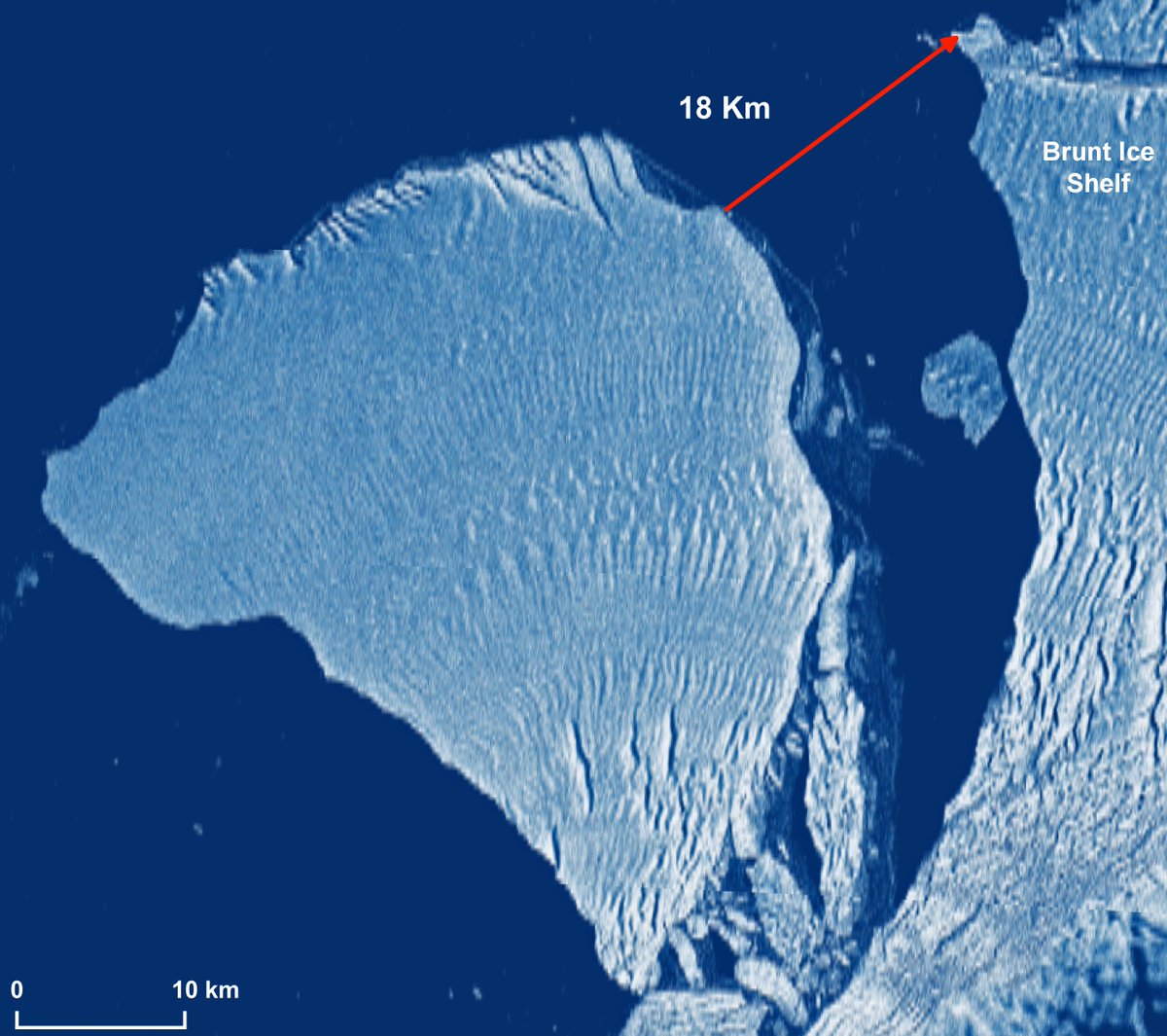 🔴🧊🔵#A81 has increased again its distance from #BruntIceShelf:in the latest #Sentinel1 image of Jan.31 the maximum distance is now 18Km and the #iceberg is still moving away.#Antarctica #SAR #GoldenAgeOfSar #ClimateEmergency @ai6yrham @StormHour @Off_Valpo @aemet_antartida