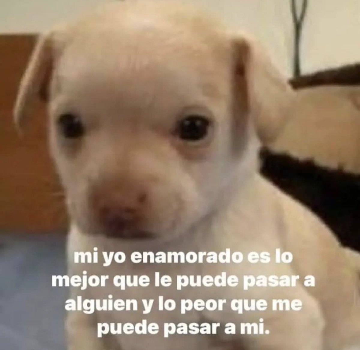 sparks (@rosemaryyy23) on Twitter photo 