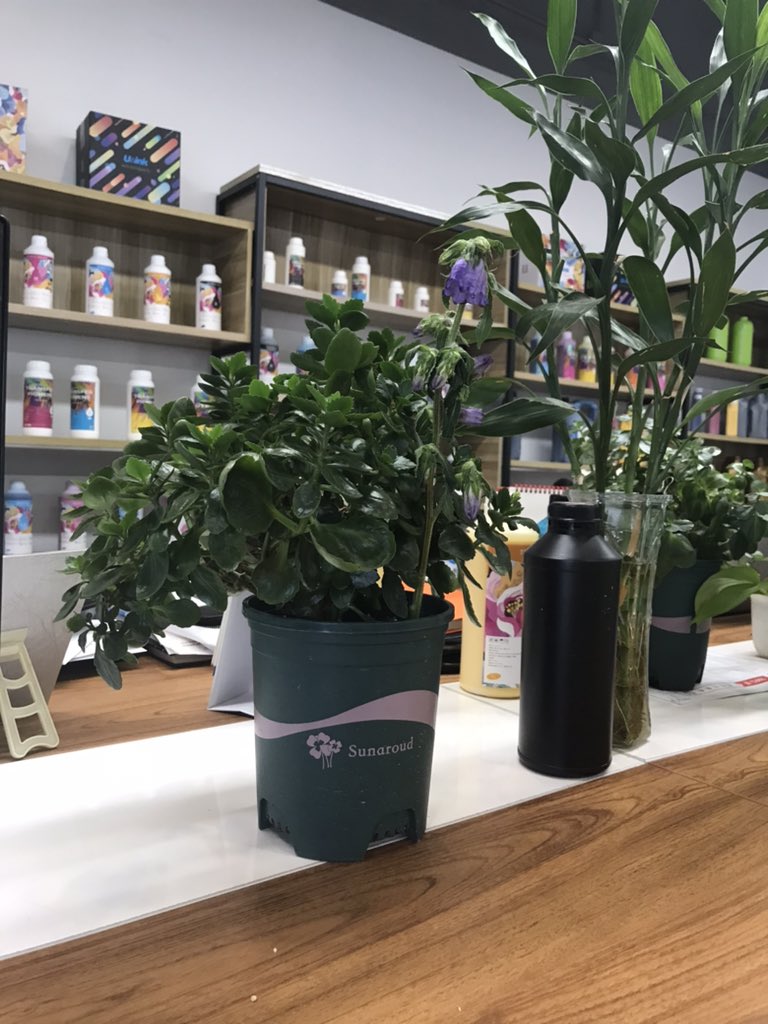 ZouLily's tweet photo. Look, my new friend, I love tulips so much.🌷🌷🌷#dtfprinting #sublimationprinting #ink #dtf #sublimation https://t.co/1QTJdmbZyq