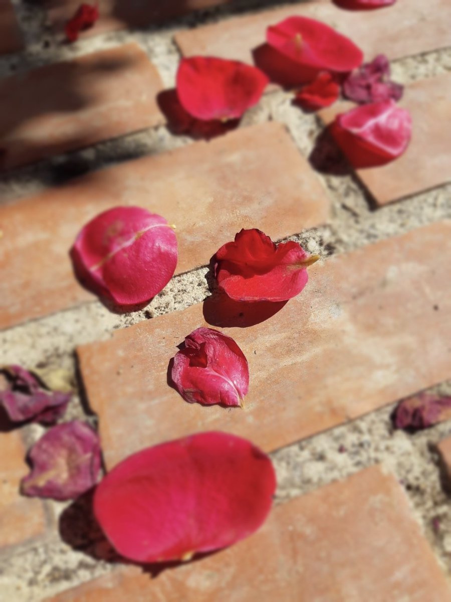 𝗡𝗝🦋 tweet media