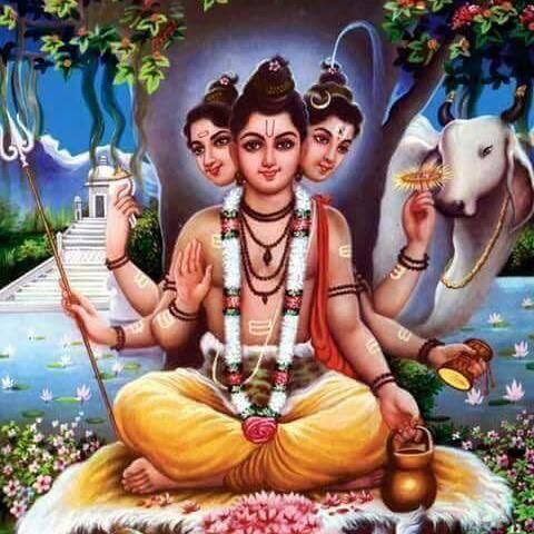 𝒜𝓂𝓇𝓊𝓉𝒶 🇮🇳❤️💫🕉 on Twitter: 𝒜𝓂𝓇𝓊𝓉𝒶 🇮🇳❤️💫🕉 on Twitter: