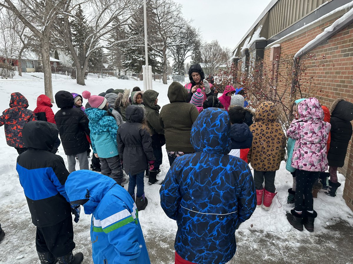 Robin Cotton tweet media