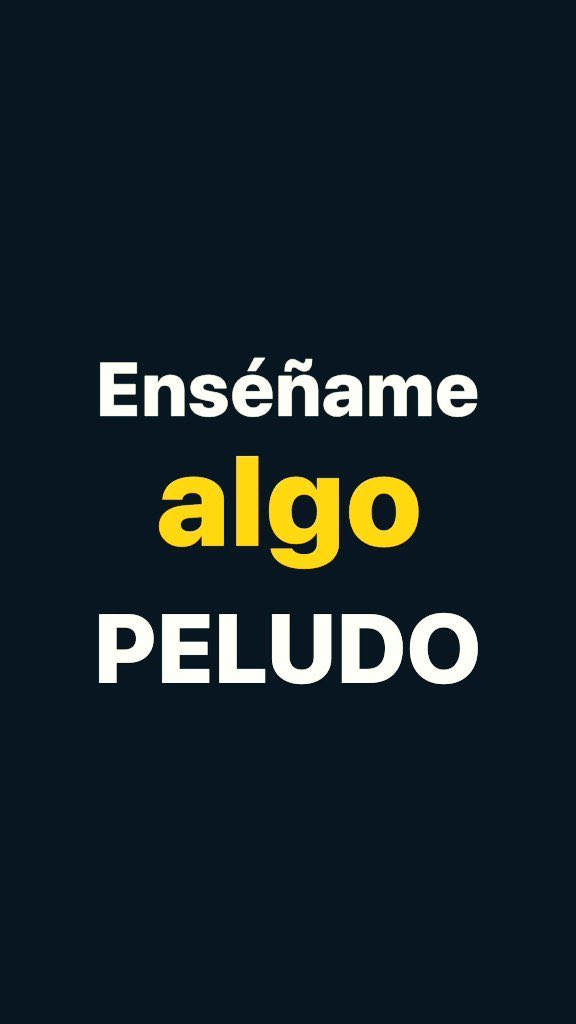 A N D R É S🐺 tweet media