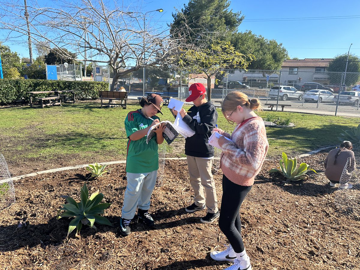 CasitaMagnet's tweet photo. Our 5th graders are out in our garden to determine how our Earth’s spheres are interacting! #fieldscientists https://t.co/9PmlGsiipg