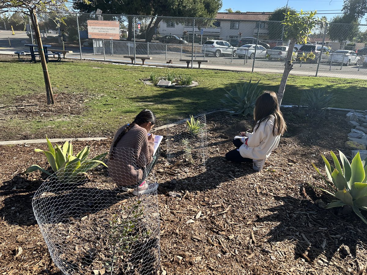 CasitaMagnet's tweet photo. Our 5th graders are out in our garden to determine how our Earth’s spheres are interacting! #fieldscientists https://t.co/9PmlGsiipg
