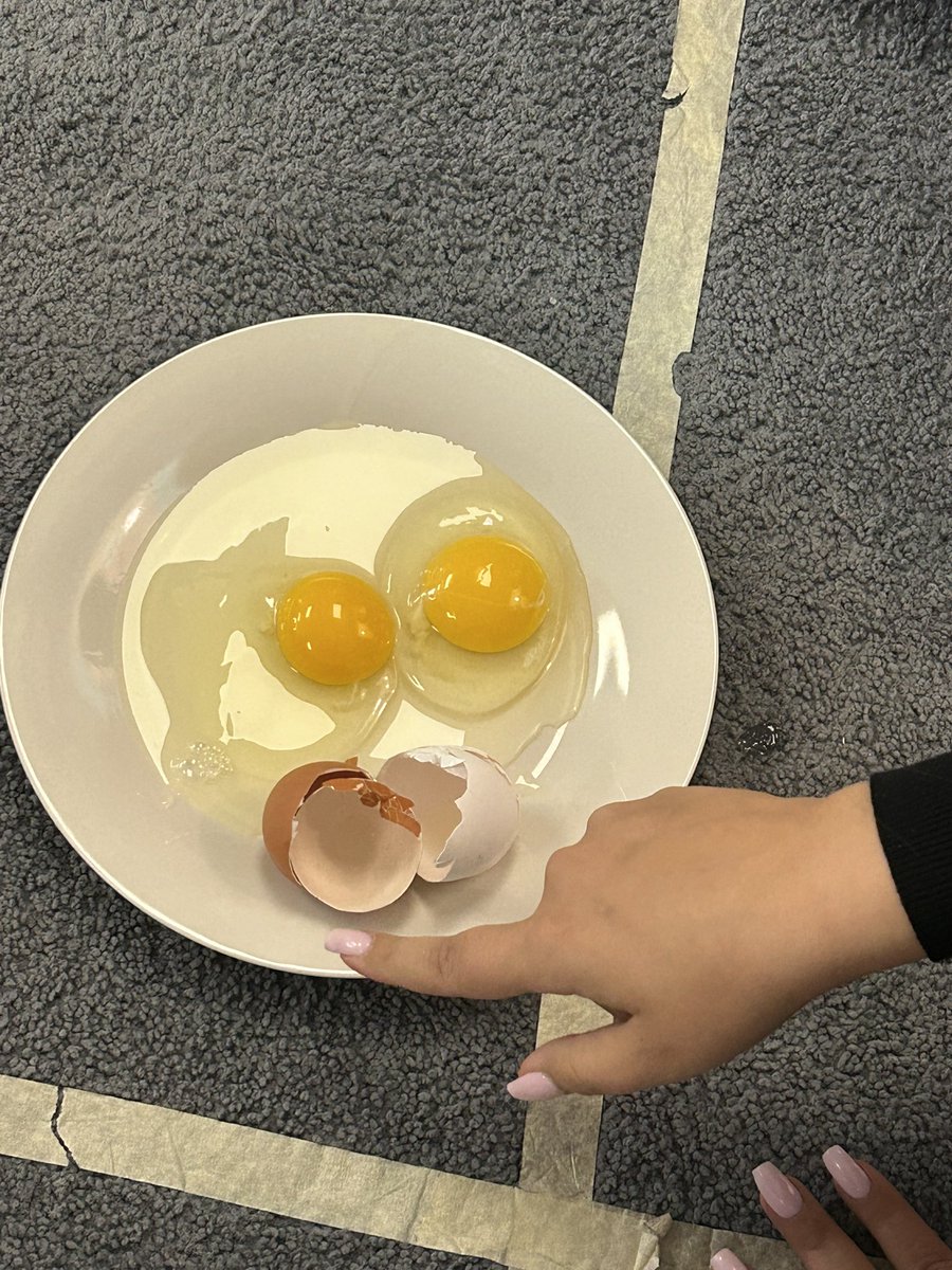 Mrs_Whitesell's tweet photo. This morning @Mrs_Grant_  showed students that just like the two eggs, we’re all different on the outside, but we’re the same on the inside. So, no matter what we look like, we all deserve to be treated equally and with respect 🤗 #OcsbBlackHistoryMonth https://t.co/ZJb5ndqRVW