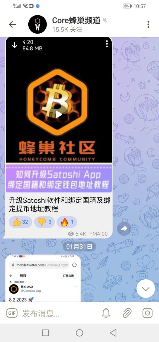 SatoshiDAO🇨🇳 tweet media