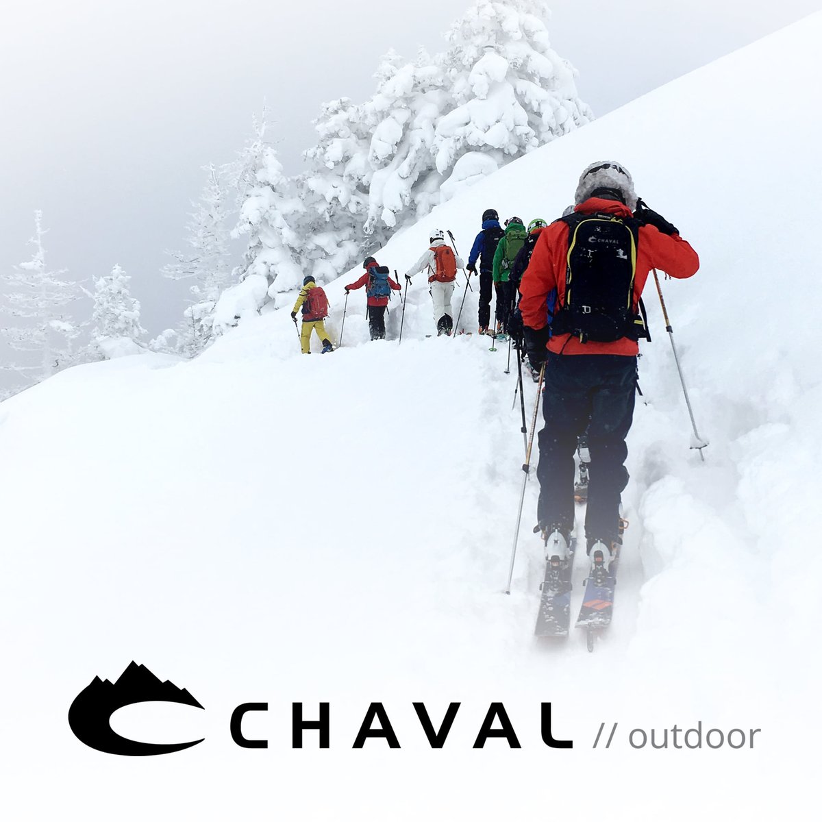 ChavalUSA's tweet photo. Happy February! https://t.co/FEVizP2Jny