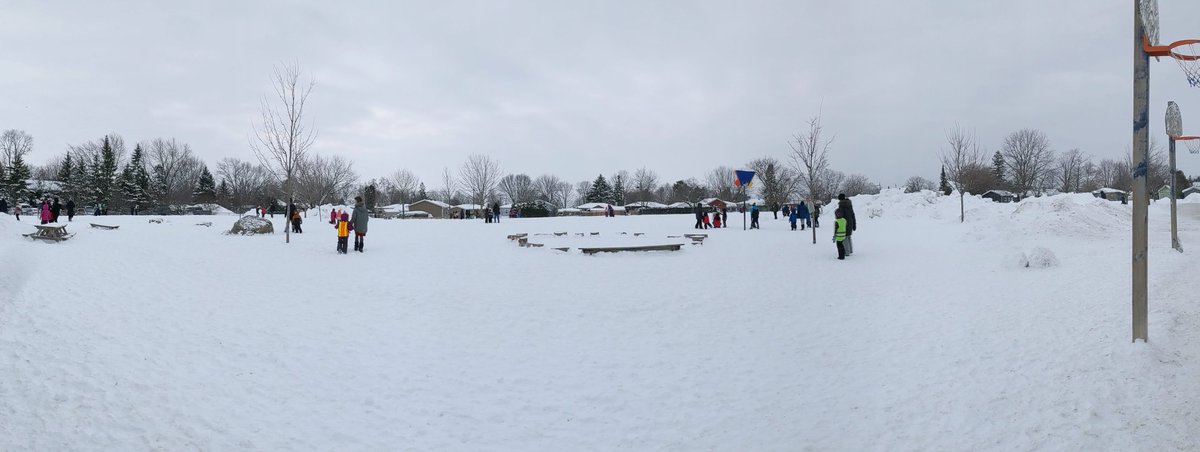 Our classes celebrated World Read Aloud Day outside with our buddies enjoying a storywalk of the book "Dreams of Freedoms". Ss had good conversations while roaming the yard at their own pace! <a href="/TeachAndrews/">Shawn Andrews</a> @OrchardParkPS <a href="/OrchardPLibrary/">OPlibrary</a> <a href="/MsKMacKinnon/">Miss MacKinnon</a> <a href="/MissM_Teaches/">Molly McFarlane</a>
