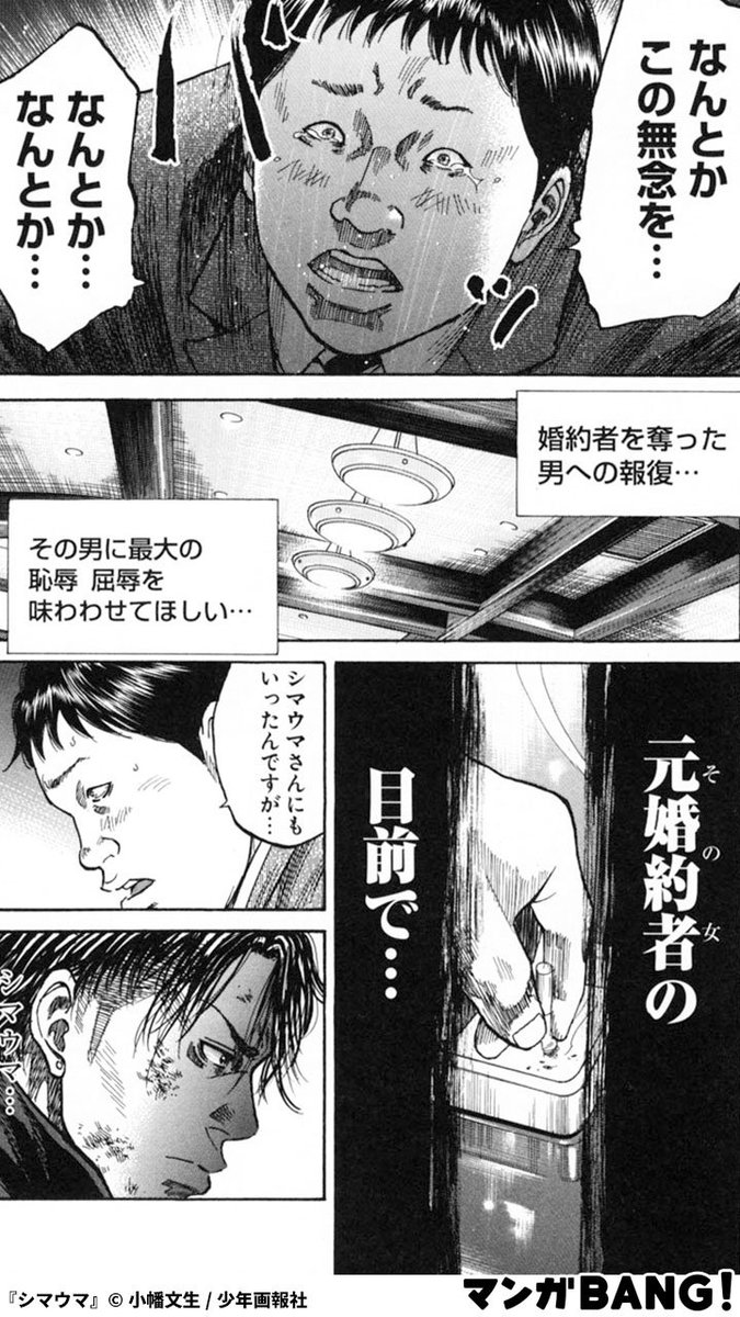 婚約者を奪った男への復讐… (13) 「シマウマ」全巻無料！ ※但.. | マンガBANG！ 人気マンガが無料で読める！(PR) さんのマンガ |  ツイコミ(仮)