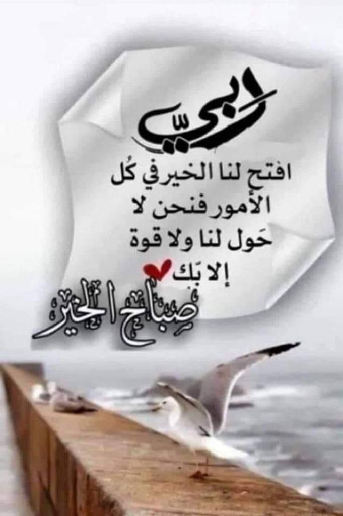 متعب صويلح(أبو باسل) (@alsulami_metab1) on Twitter photo 