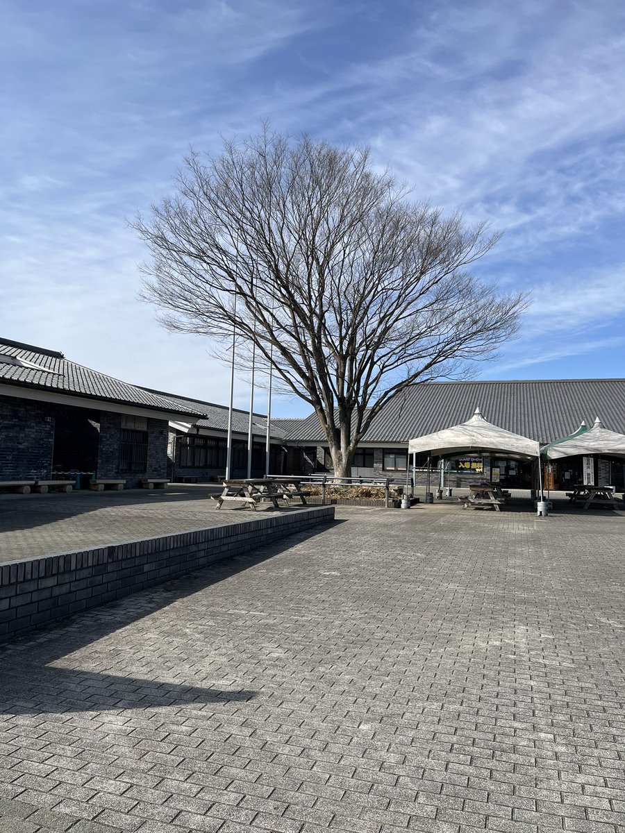 winryo6's tweet photo. のどかな小川町
誰もいない
そりゃそうだよね
寒い😨風強ー😷 https://t.co/lyD17PB7YY
