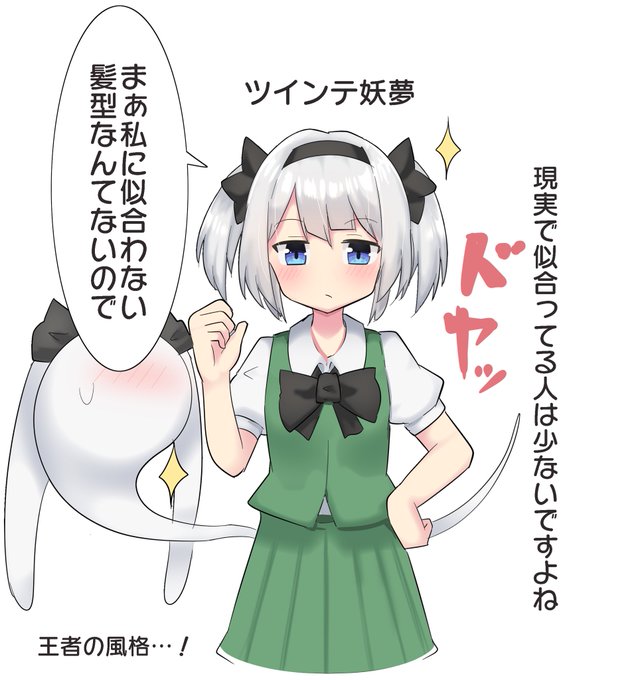 昔のツインテ妖夢 