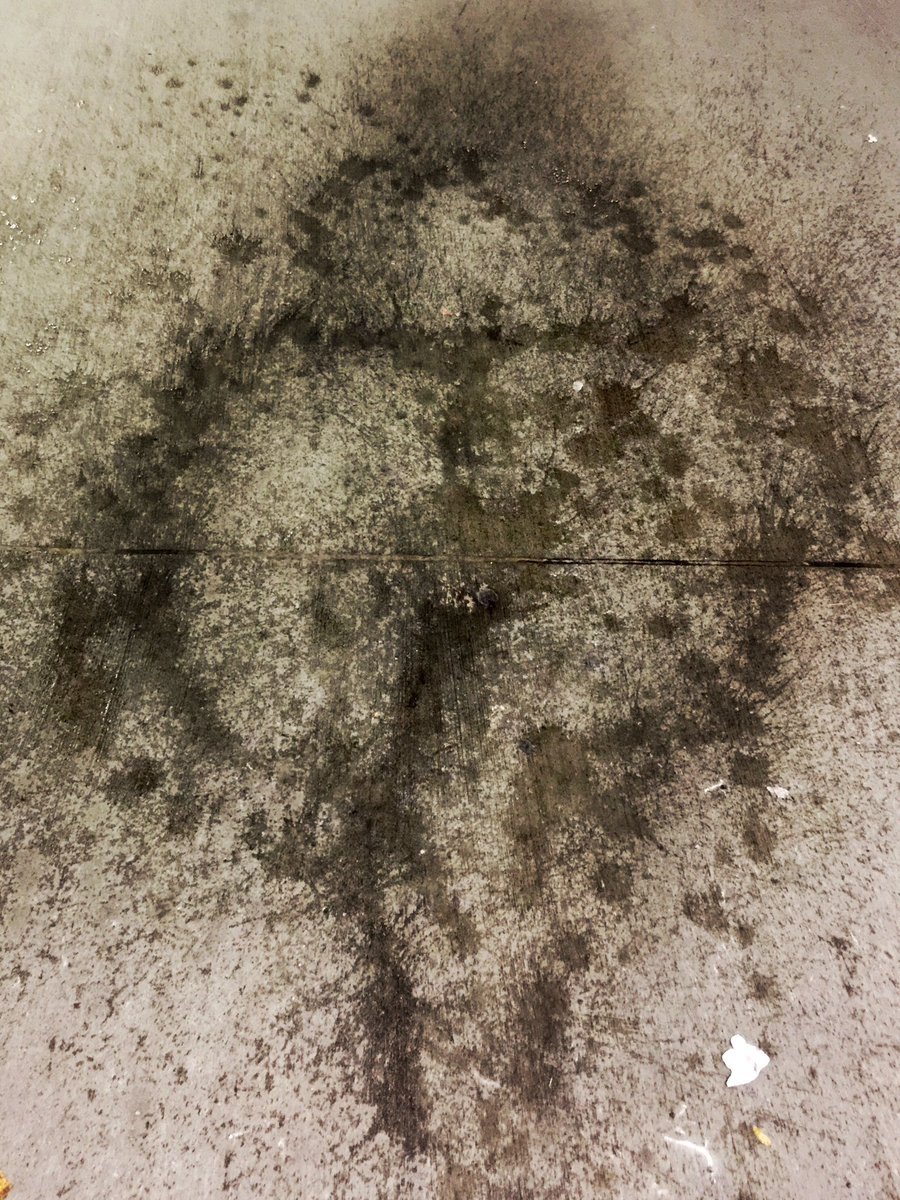 itchellmitchell's tweet image. Is this oil stain…thicc? Smash or pass tho?