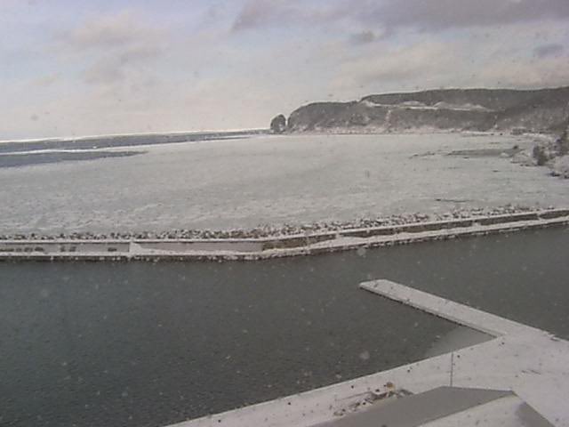 流氷なび tweet media