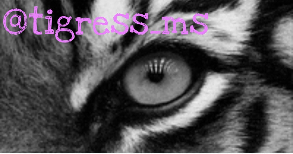 🗽 MsTigress 🐅🐾 tweet media