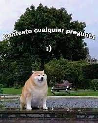 Monkeysupremo3's tweet photo. estoy aburrido así que hablemos de filosofía https://t.co/lLQa4H6BPw