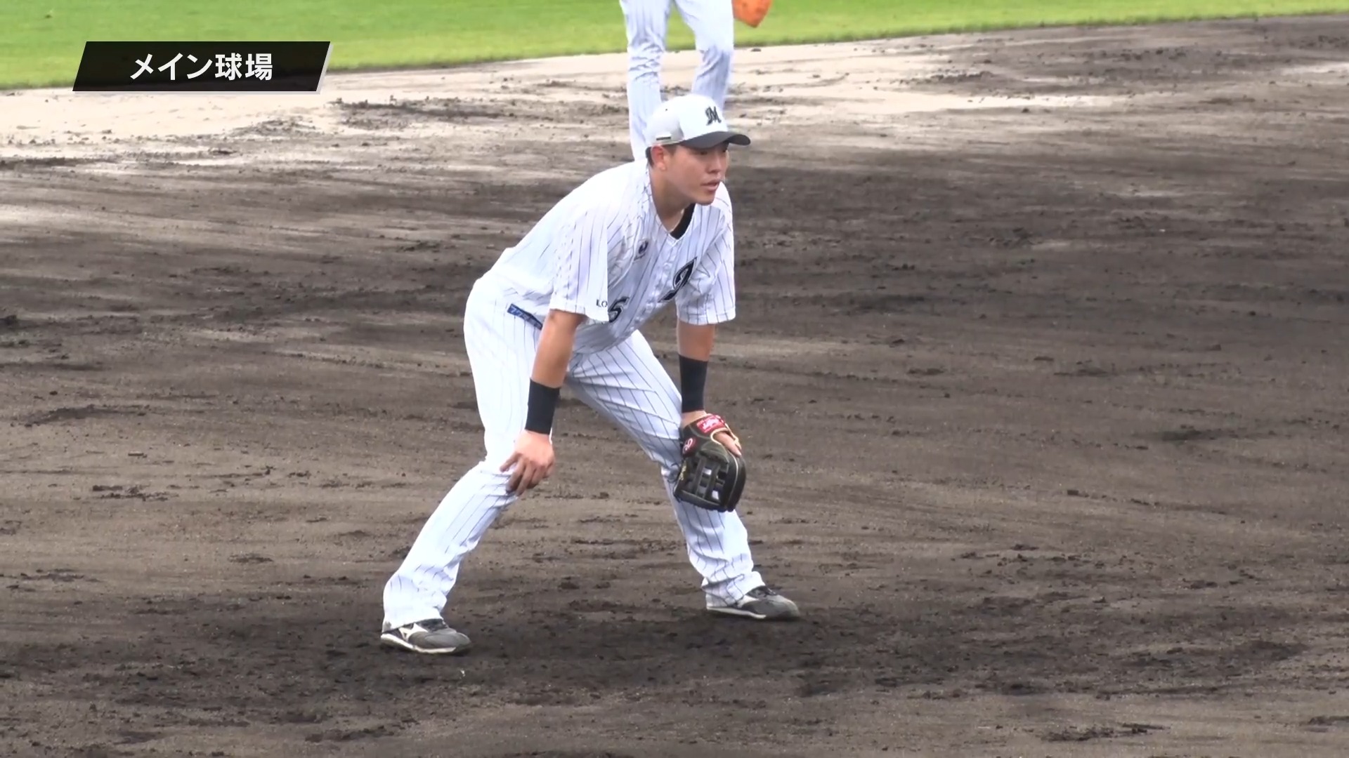 @chibalotte's video Tweet