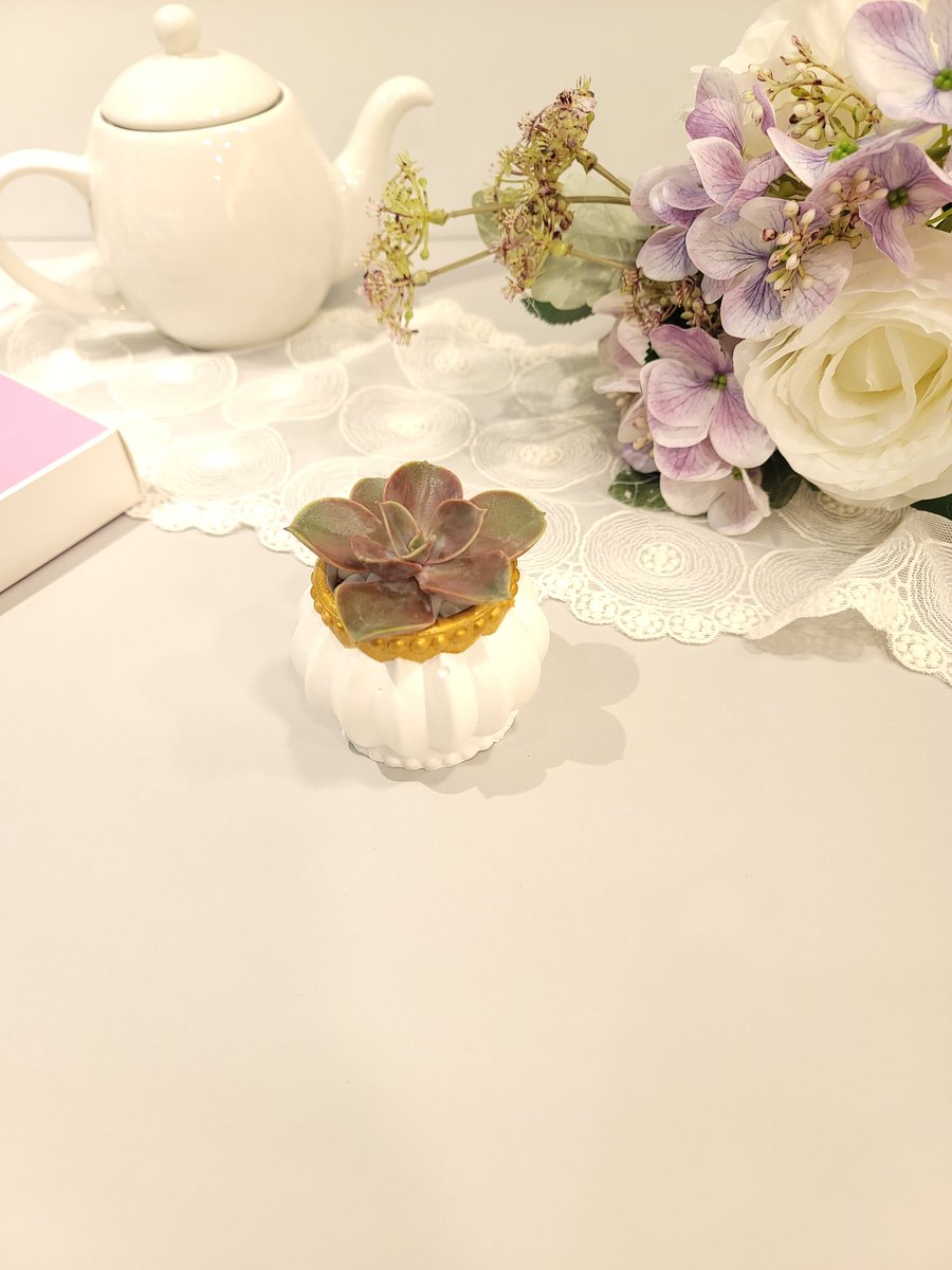 queensatelier's tweet image. 미니 다육이 화분 오브제

꾸준히 오브제들 업뎃중입니다. 

🎀퀸포슬린이 직접 디자인한 오브제 콜라보 입니다. 
  무단 도용을 금합니다.

#다육이  #다육이화분  #감동선물 #반려식물 #식집사 #인테리어소품 #선물추천  #식집사  #오브제  #선물 #plants #succulent