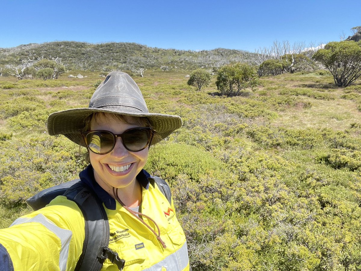 So lucky to be part of a Bush Blitz survey of the Australian Alps, surveying for #frogs and #reptiles with the aim of discovering new species! 🐸🦎🐍

Bush Blitz is an innovative partnership between the Australian Government, BHP and Earthwatch.

#bushblitz #speciesdiscovery