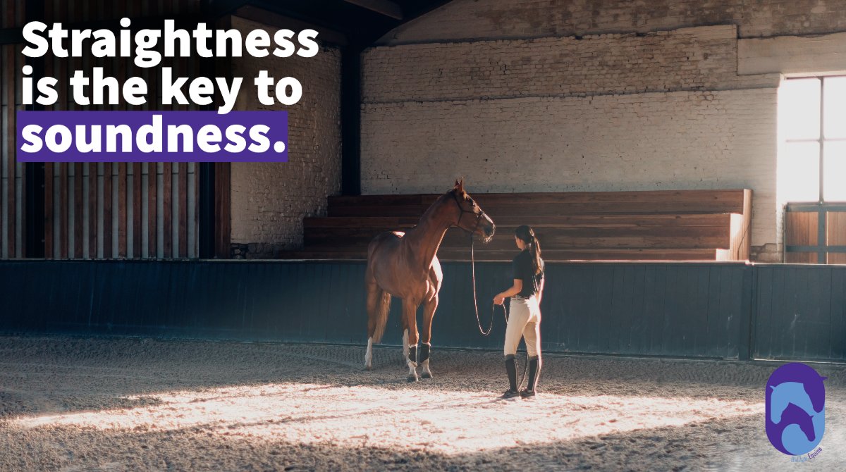 Straightness and balance are one of the most common issues owners and trainers have with their horses. No matter what the discipline. Listen and learn how you and your horse can become more aligned. ⚖️ declue-equine.com/straightness-i… #sporthorse #equine #horsehealth