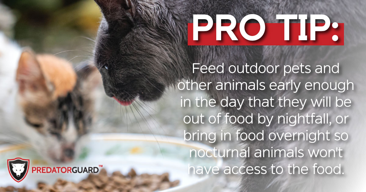PredatorGuard's tweet photo. Make sure any spilled food is swept up. This can help in the prevention of #pest animals. #outdoorpets https://t.co/GPW517iixq