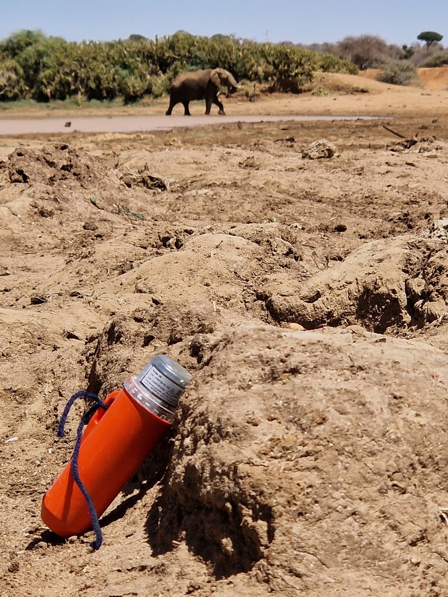 DanHending's tweet photo. Deployment of #Stryde nodes complete! 1,220 sensors now in the ground, in addition to 50+ acoustic sensors, and 30 camera traps! 🇰🇪🐘 #remotesensing @mpalalive @DrBethMortimer @SeisTNM @Sam_Kiuna https://t.co/FkMXKT83o0