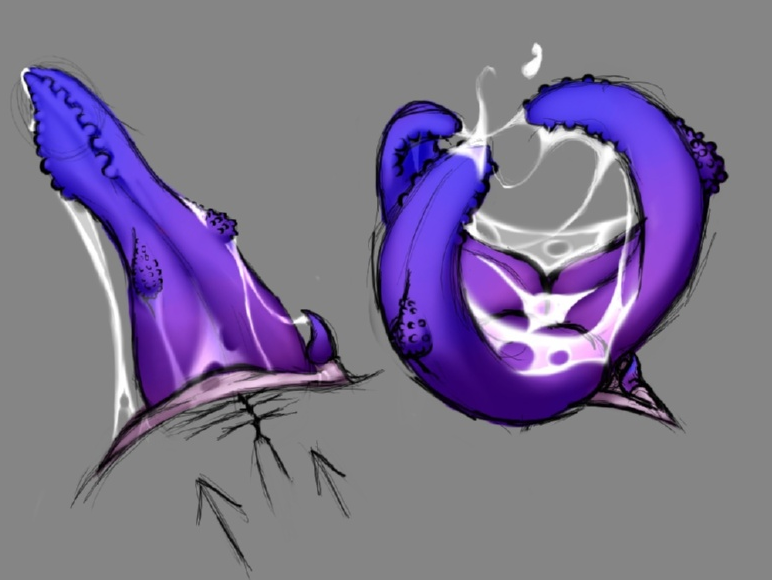 Ophelia Cressida.
the Moonphase Moth.

🌙⚥
🌙Bisexual.
🌙Detailed.
🌙Very sweet.
🌙Loves making friends.
🌙Loving Moth GF

She has a rather unique appendage, able to mate with nearly any species.

has many different forms.

art belongs to their respective artists.
